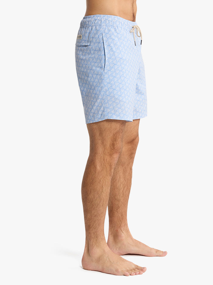 Bayberry Trunk | Sky Blue Shells