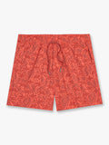 Bungalow Trunk | Coral Cutout Palms