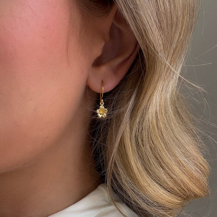 Dainty Frangipani Hook Earrings Gold | Gold Vermeil Floral Earrings Australia