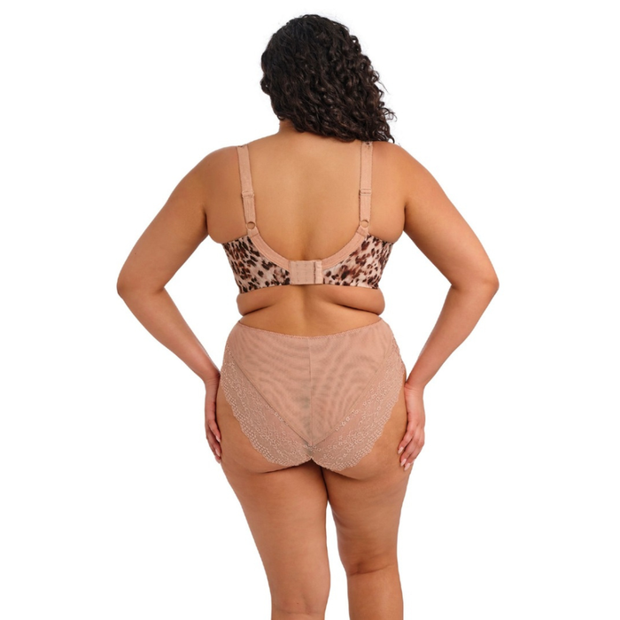 Elomi Lucie High Leg Brief EL4498