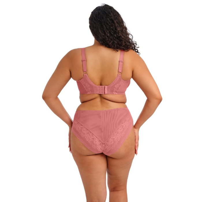 Elomi Nerina High Leg Brief EL302753