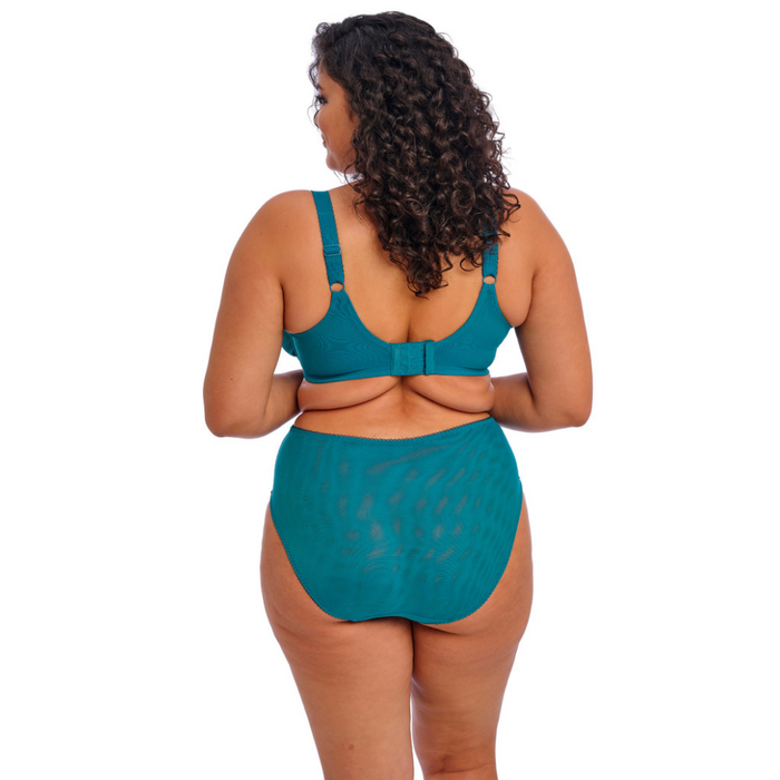 Elomi Zarla High Leg Brief EL302553