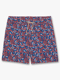 Kids Bayberry Trunk | Ditzy Sharks
