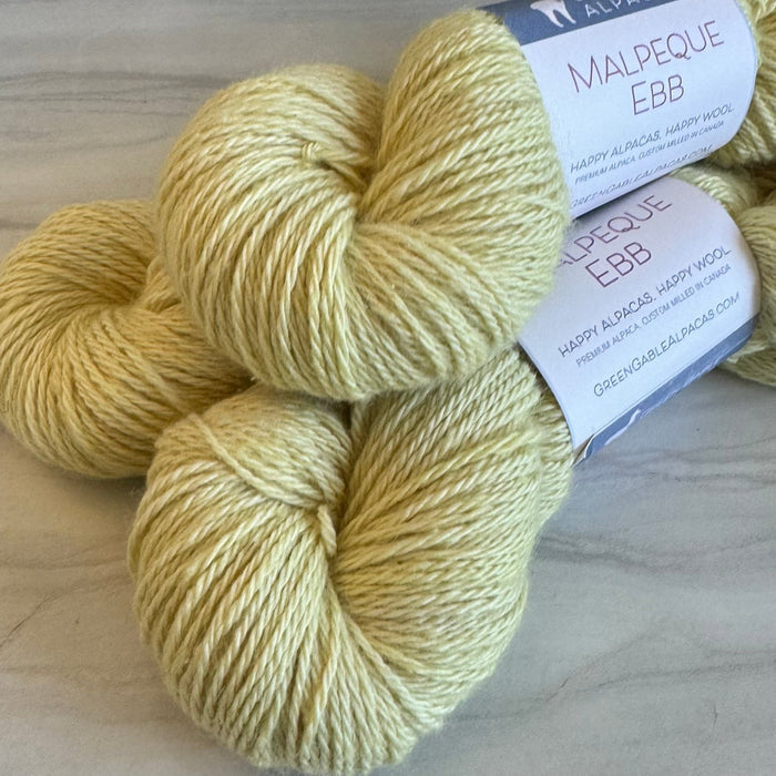 Malpeque Ebb DK Yarn | Buttercup - Green Gable Alpacas