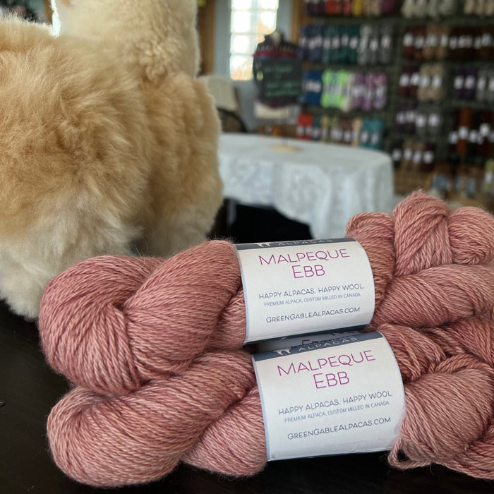 Malpeque Ebb DK Yarn | Cedar Dunes - Green Gable Alpacas