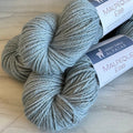 Malpeque Ebb DK Yarn | Coasta - Green Gable Alpacas